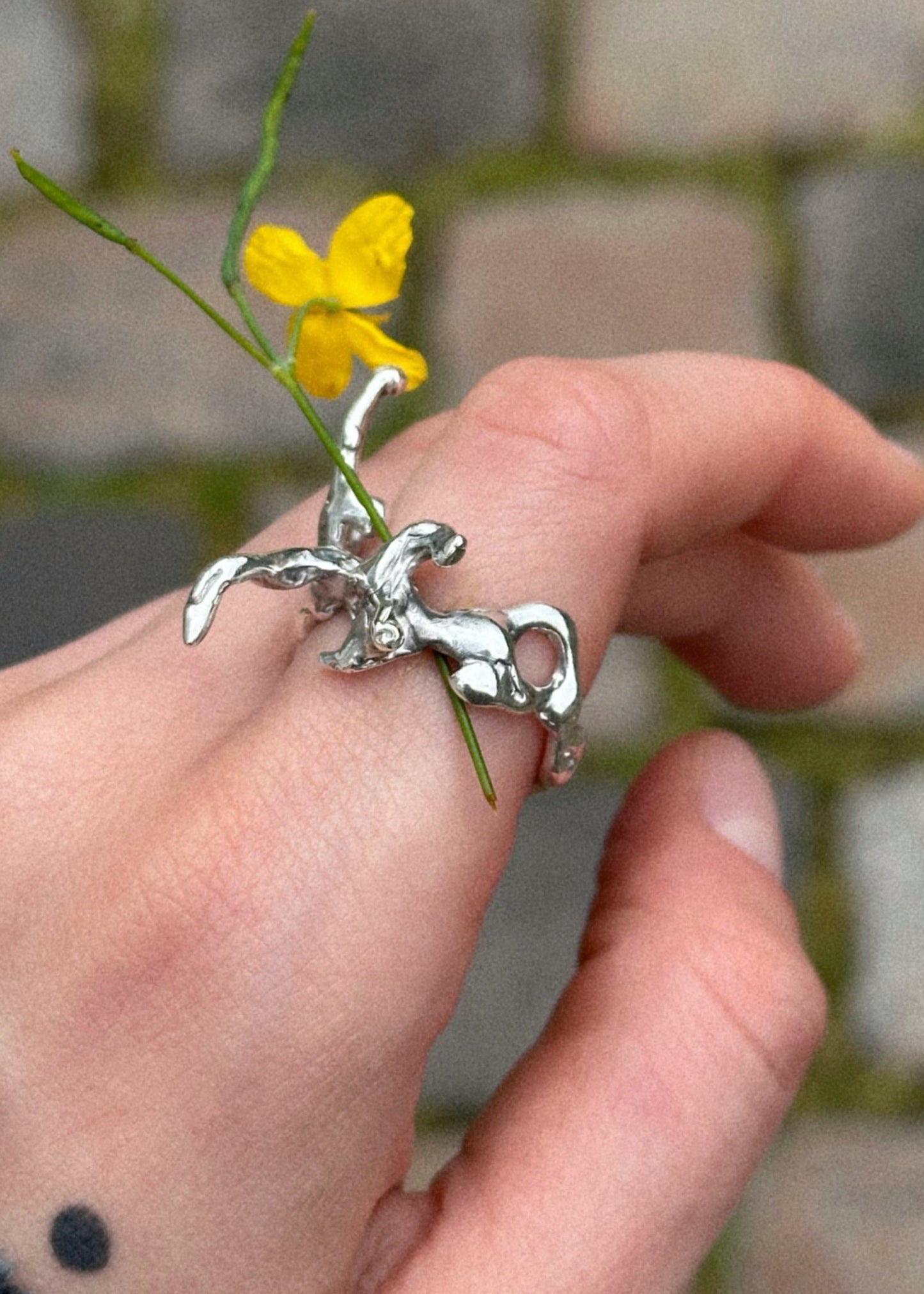 Daphne Ring